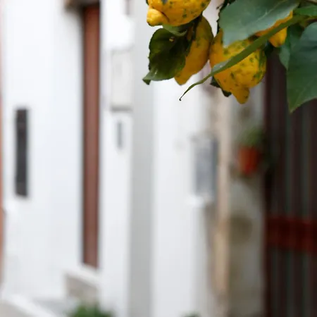 La Terrazza Del Poeta Bed & Breakfast 3*
